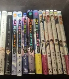 BL漫画セット(漫画15冊、小説1冊、ボイスCD1枚、みなと商事アクキー付)