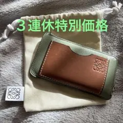 LOEWE ロエベ フラグメントケース アナグラム ローズマリー タン