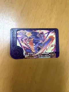 ちほまる様　専用　ポケモンフレンダ　ガブリアス