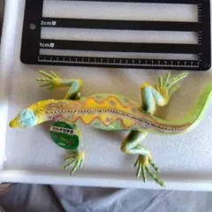 Item thumbnail for item 312c4f80-fcca-483a-bb8e-ccdd02897823