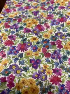 Item thumbnail for item 225bce77-00eb-4bd6-b905-7501b31d551a