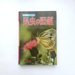 昆虫の図鑑 小学館　学習図鑑シリーズ2 ヴィンテージ　昭和　レトロ　貴重