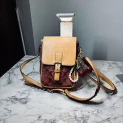美品 COACH ポシェット サコッシュ ミニショルダー シグネチャー