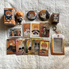 ハイキュー　日向翔陽　まとめ売り　キラピカカード ねんどろいど ぷらす　缶バッジ