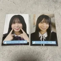 Item thumbnail for item f8a45353-c8f9-4641-be6c-f70b94949ed7