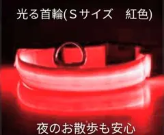 Item thumbnail for item 8f32e495-019e-4462-bd8c-fdc2f6aa3d3b