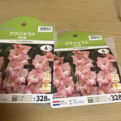 BreezyGreen グラジオラス 桃花種 6球セット２袋のサムネイル