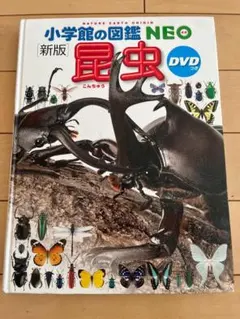 小学館の図鑑NEO【新版】昆虫｜DVDなし｜セットお値引きあり