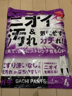 Mizuno GACHI PANTS Lサイズ ショートタイプ