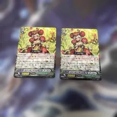 ヴァンガード ラナンキュラスの花乙女 アーシャ G-TD03/002 RRR仕様