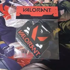 VALORANT ステッカー