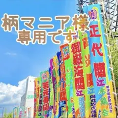 Item thumbnail for item cd361763-5601-4a16-a5b6-72839a5e3588