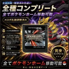 プラチナ ポケットモンスター DS ソフト