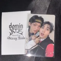 StrayKids スキズ　エコパ　popup オンライン購入特典トレカユニット