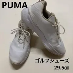 プーマ　メンズゴルシューズ　29.5㎝のサムネイル
