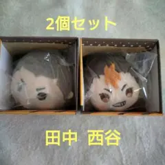 ハイキュー!! もちもちマスコット 西谷 田中 2個セット
