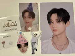 ALPHA DRIVE ONE サンウォン FCキット