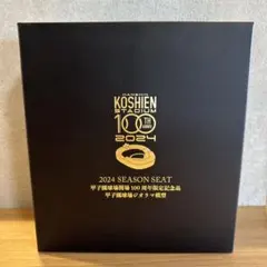 【ジオラマのみ】甲子園100周年記念品　2024年【一部傷あり】 甲子園球場 100周年記念 2024 甲子園球場ジオラマ模型