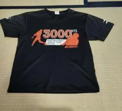 Item thumbnail for item 2bbf4c63-6e96-480f-8bc9-bfa4cf99da83