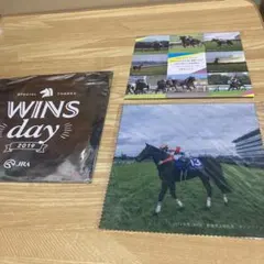 新品　WINSDAY 2019 非売品　マルチクロス　JRA ダノンファンタジー