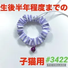 #3422 子猫用シュシュ首輪のサムネイル