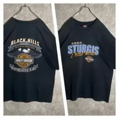 ハーレーダビッドソンTシャツ イーグル 両面デザイン フェード ブラック 2XL