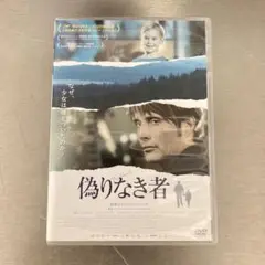 シェイク・ユア・ハート DVD　ブロマイド付き シェイク・ユア・ハート DVD ブロマイド付き