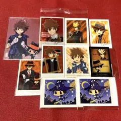 家庭教師ヒットマンREBORN！沢田綱吉 ポラショット チェキカード