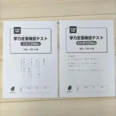 2年　国語　算数 ぶんけい 学力定着確認テスト　小2のサムネイル