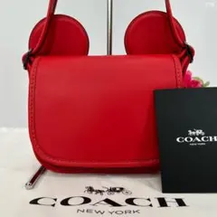 コーチ ディズニー ショルダーバッグ