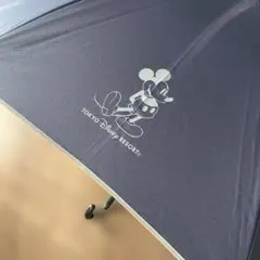 ディズニー　Disney ディズニーリゾート内　傘　ミッキーマウス　mickey