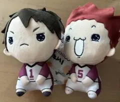 ハイキュー　もちぴこぬいぐるみ　牛島若利・天童覚