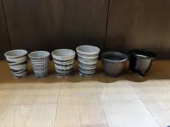 6鉢セット古いレトロな植木鉢 / 検索昭和モダン蘭鉢伝市鉢