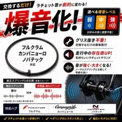 ☆爆音化☆ラチェットスプリング　フルクラム　カンパニョーロ用　ポールスプリングのサムネイル