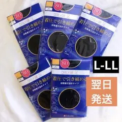 fukusuke DAILY満足 80デニール タイツ L-LL×5点