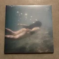 君島大空 袖の汀 LP アナログレコード - メルカリ
