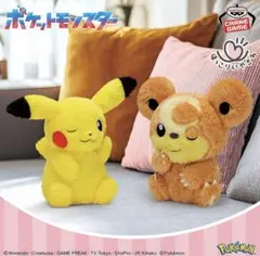 ポケットモンスター もふぐっと ほっこりいやされぬいぐるみ〜ピカチュウ・ヒメグマ