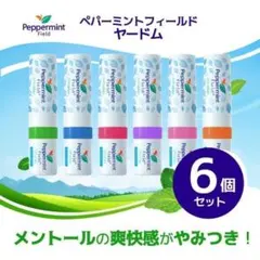 タイ嗅ぎ薬 ヤードム Peppermint Field オリジナル　12個