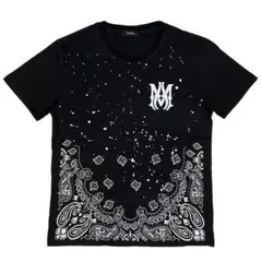 ⭐️様限定ページ美品　アミリ　バンダナブリーチ　Tシャツ XLサイズ ⭐️様限定ページ美品 アミリ バンダナブリーチ Tシャツ XLサイズ