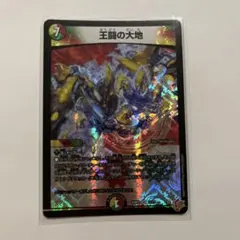 王闘の大地　デッキ デッキ紹介】Wで王道？ 王導精霊と王闘の大地でドキンダンテを