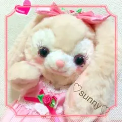 ステラルー Sサイズ 染色リメイク 染色ステラルーSサイズリメイク