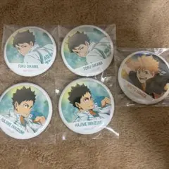 ハイキュー 缶バッジコレクション 横断幕版権 及川徹 岩泉一 日向翔陽