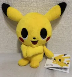 洞爺湖サミットピカチュウ 洞爺湖サミットピカチュウ - メルカリ