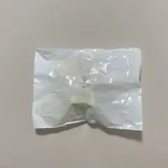 ディズニーストア　SECRET STRAP チップ