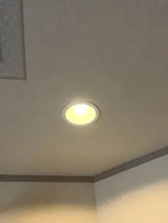 Item thumbnail for item c7644ff8-441e-4e30-9b23-229c2324e54a