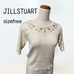 【JILLSTUART完売品】シアー ビジュートップス オフホワイト【美品】