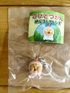 こびとづかん めじるしフレンズ カクレモモジリ