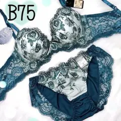 B75ローズガーデン（グリーン）♥️ブラジャーショーツセット♥️エメフィール系人気