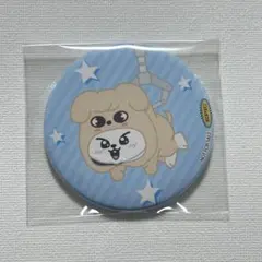 スキズ SKZ TOY WORLDSKZOO缶バッジ 楽天特典 リービット