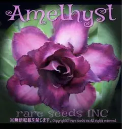 mishowbito_03様 リクエスト 4点 まとめ商品